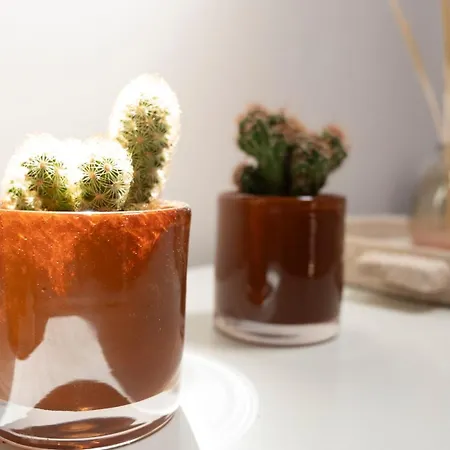 Le Mercoeur, Et Paisible En Hyper Centre De